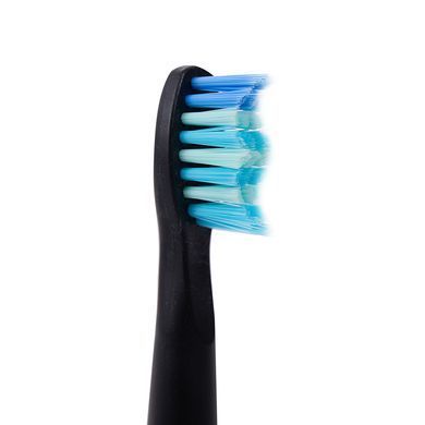 Набір насадок до електричної зубної щітки Berger TB Optimal/TB Light 4шт. Black